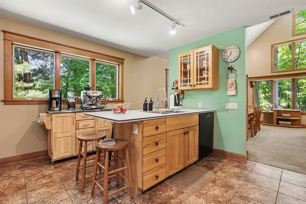 10735 Brown Lake Drive NE Oakfield Township MI 49341