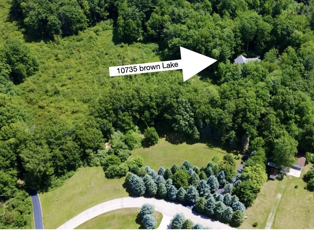 10735 Brown Lake Drive NE Oakfield Township MI 49341