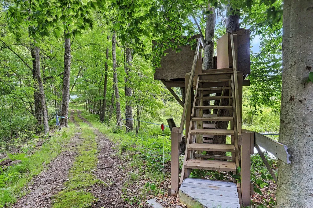 10735 Brown Lake Drive NE Oakfield Township MI 49341
