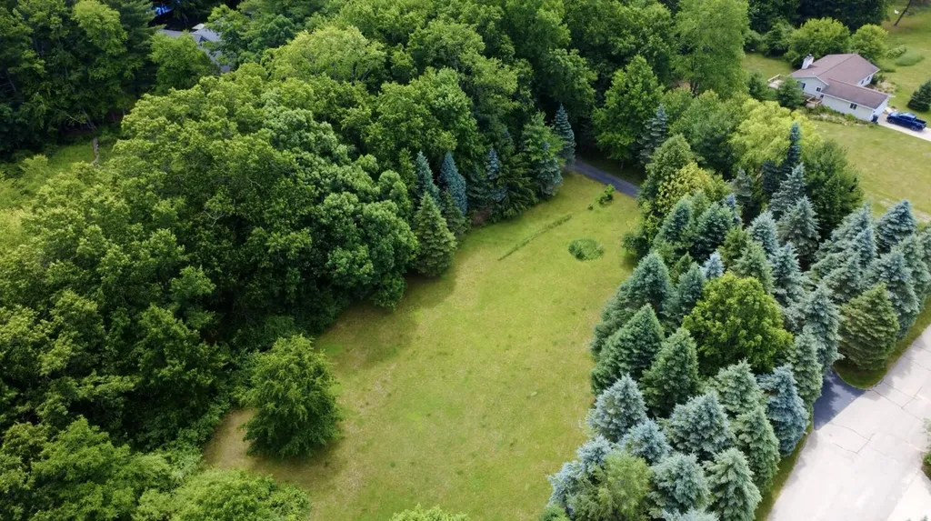 10735 Brown Lake Drive NE Oakfield Township MI 49341