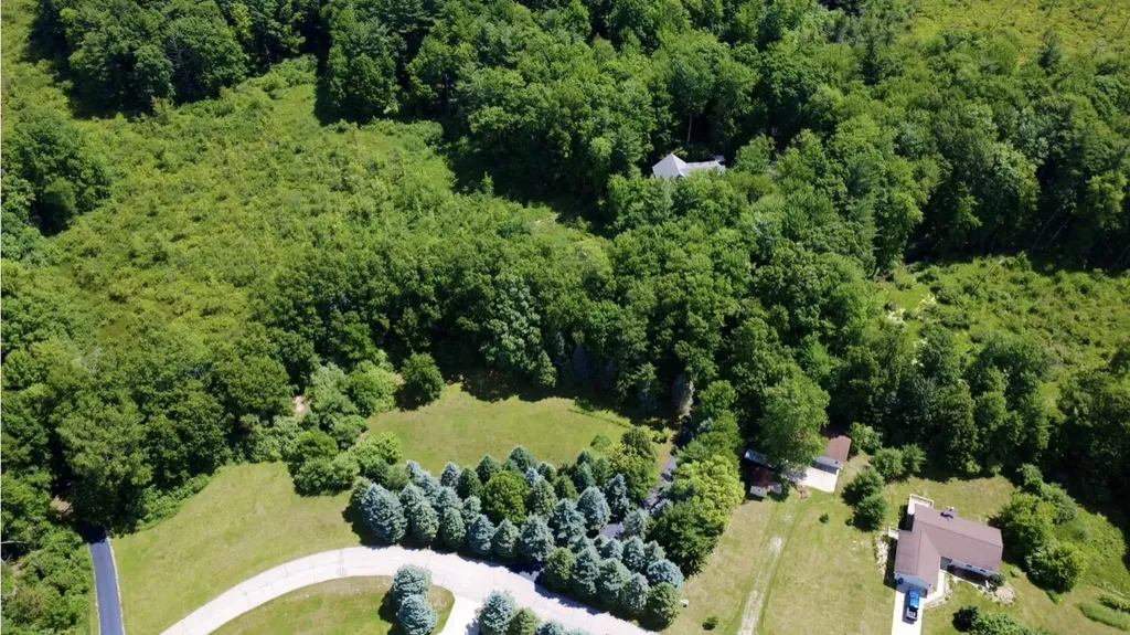 10735 Brown Lake Drive NE Oakfield Township MI 49341