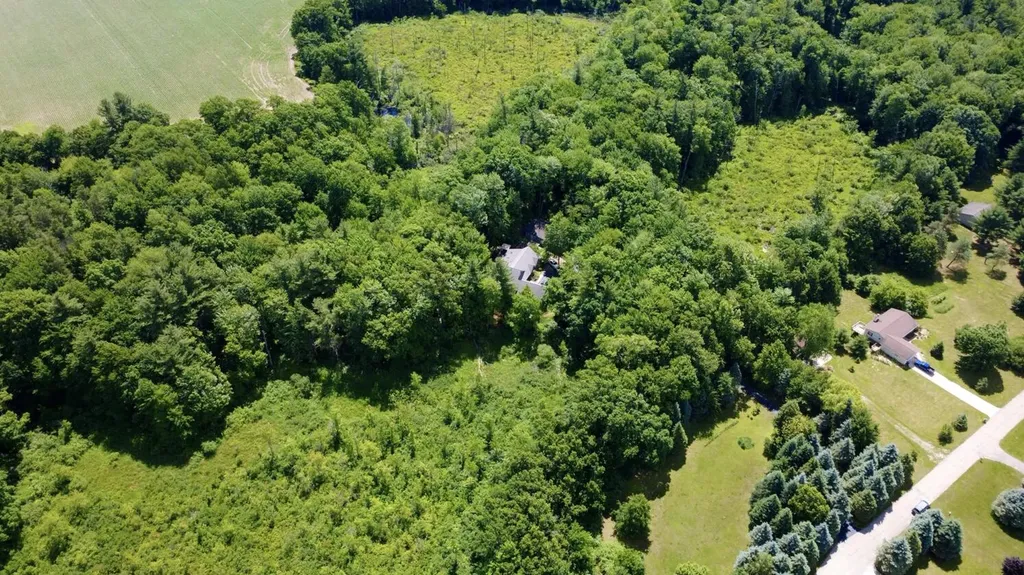 10735 Brown Lake Drive NE Oakfield Township MI 49341