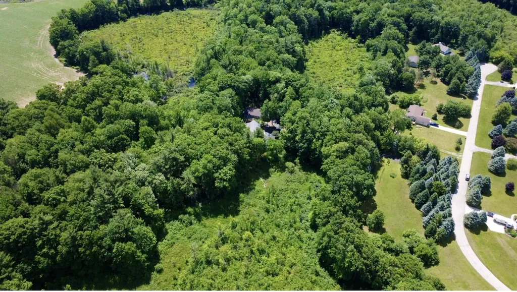10735 Brown Lake Drive NE Oakfield Township MI 49341