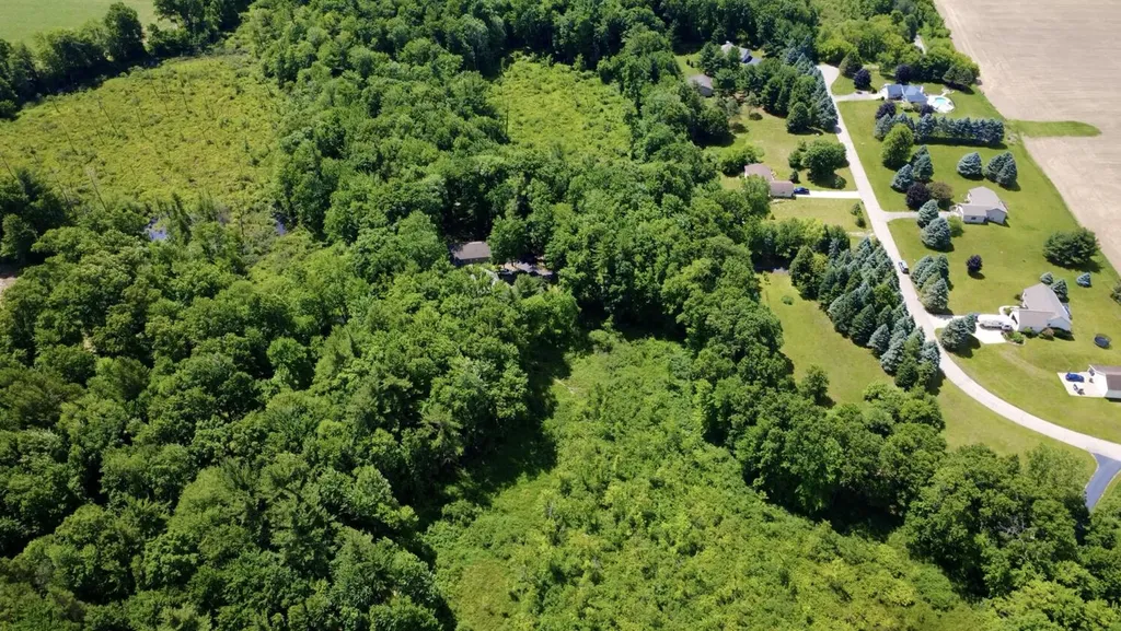 10735 Brown Lake Drive NE Oakfield Township MI 49341