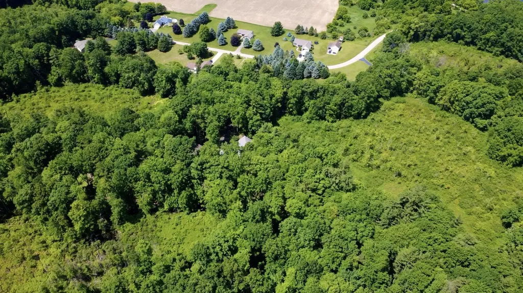 10735 Brown Lake Drive NE Oakfield Township MI 49341