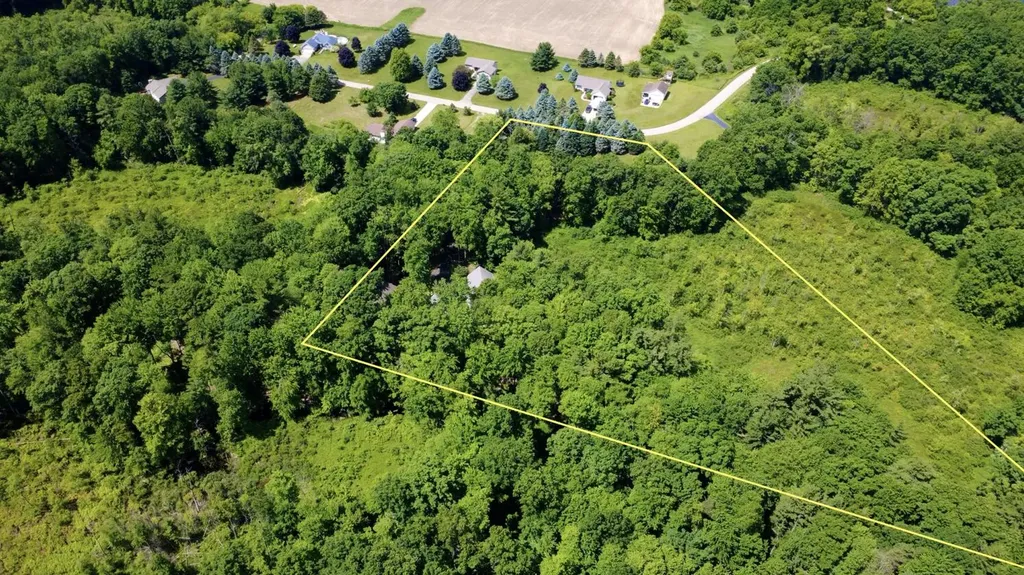 10735 Brown Lake Drive NE Oakfield Township MI 49341