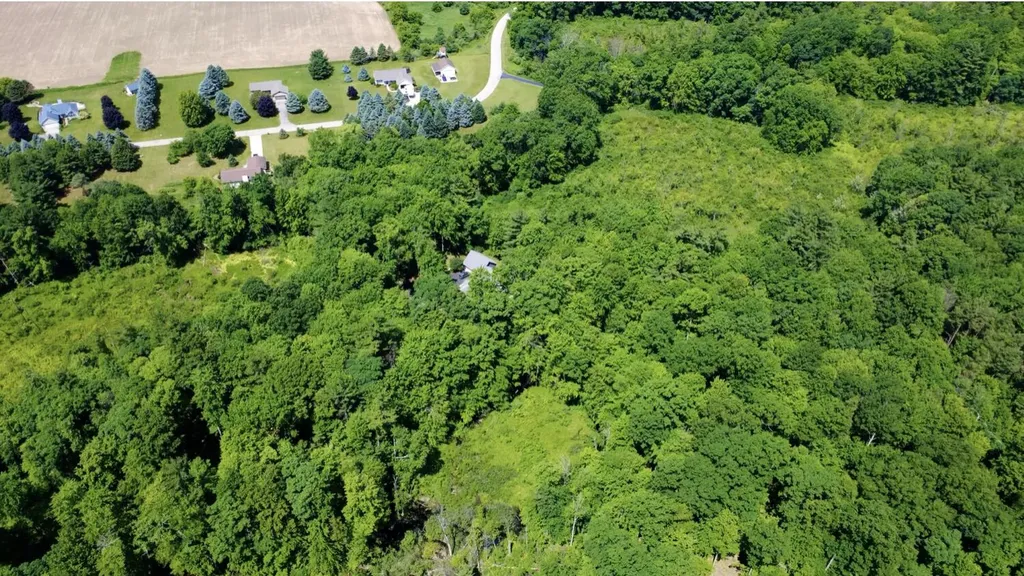 10735 Brown Lake Drive NE Oakfield Township MI 49341