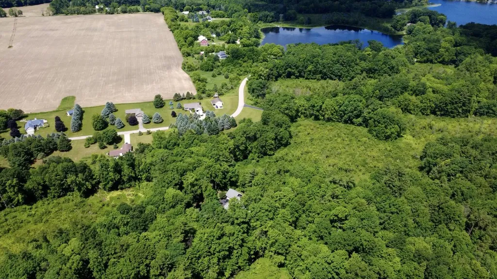 10735 Brown Lake Drive NE Oakfield Township MI 49341
