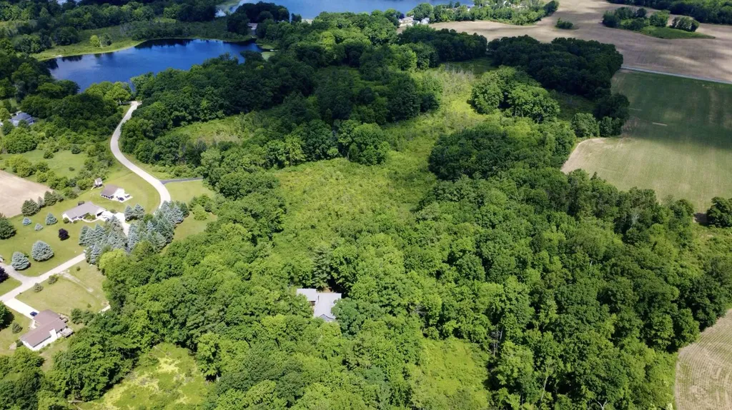 10735 Brown Lake Drive NE Oakfield Township MI 49341