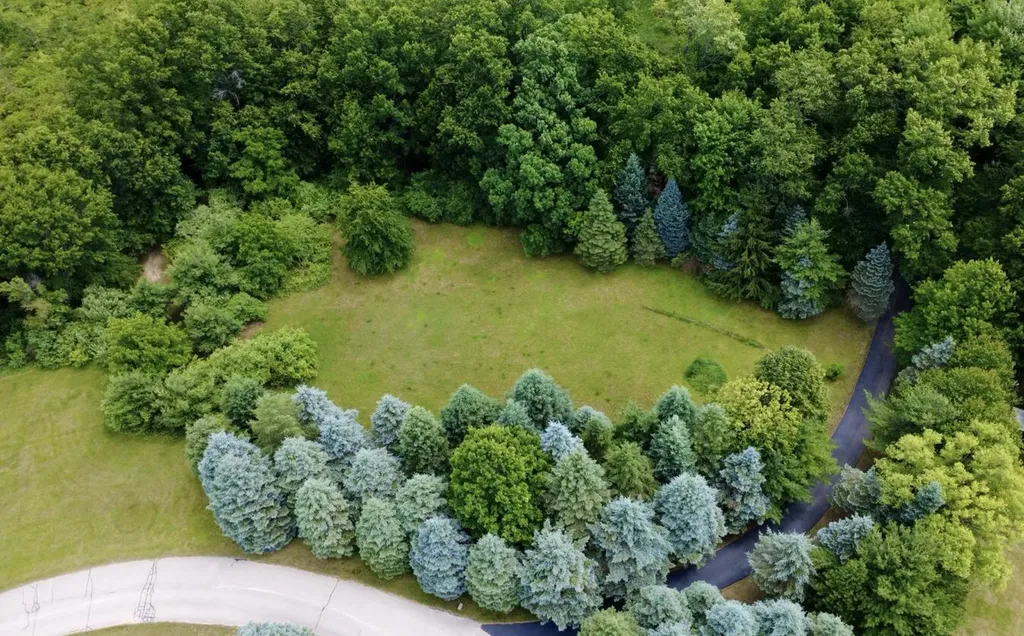 10735 Brown Lake Drive NE Oakfield Township MI 49341