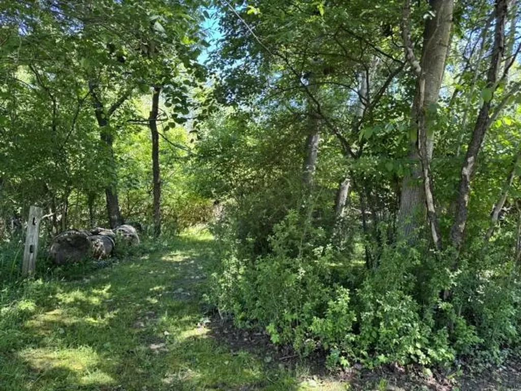 1021 Orchard Avenue Unknown City MI 49090