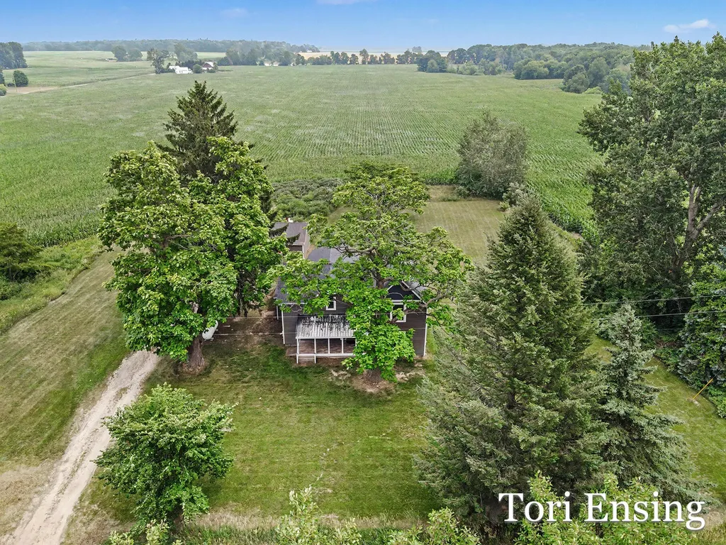 151 S Fitzner Road Montcalm Township MI 48838