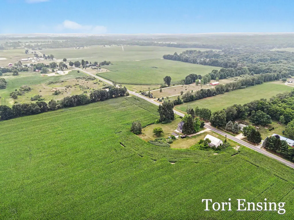 151 S Fitzner Road Montcalm Township MI 48838