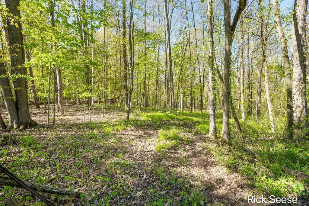 9800 5 Mile Road NE Grattan Township MI 49301
