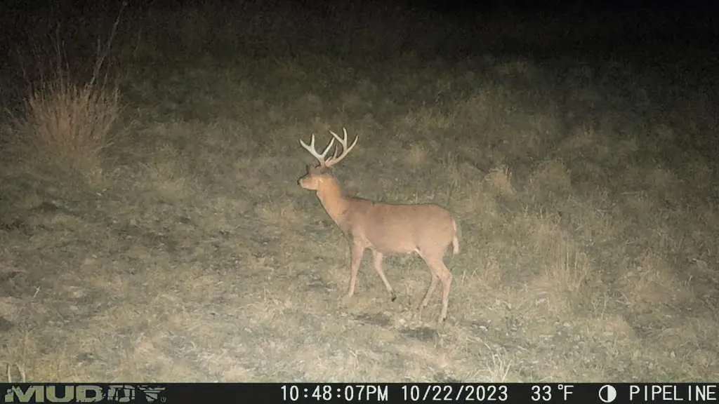 16314 9 Mile Road Austin Township MI 49346