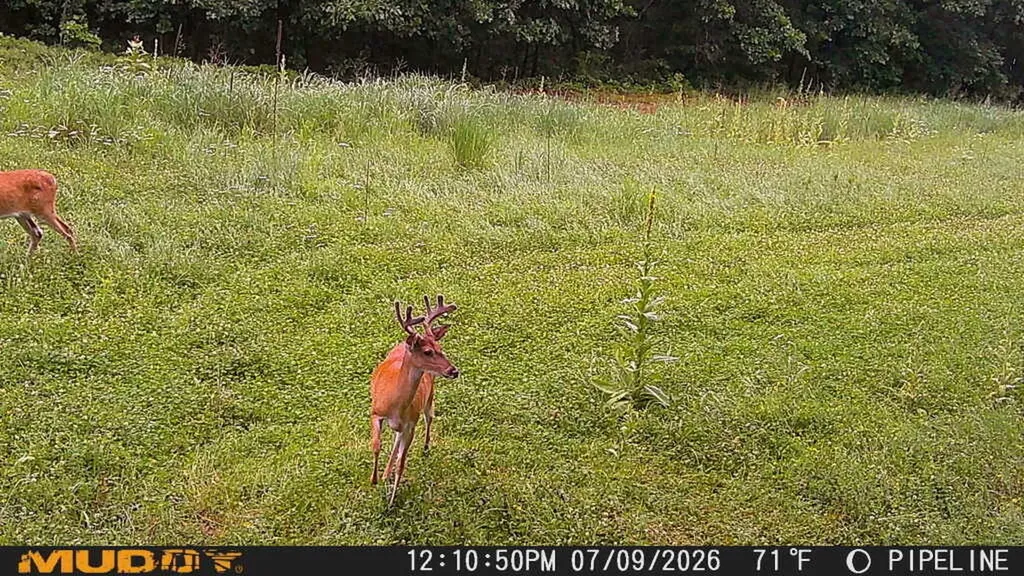 16314 9 Mile Road Austin Township MI 49346