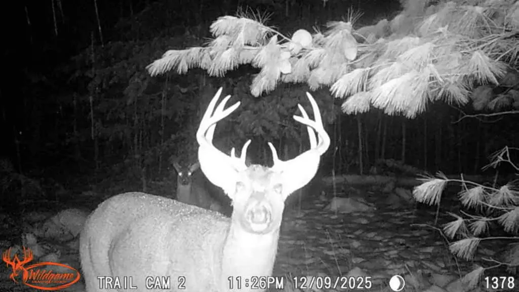 16314 9 Mile Road Austin Township MI 49346