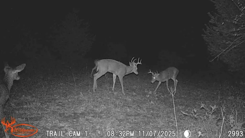 16314 9 Mile Road Austin Township MI 49346