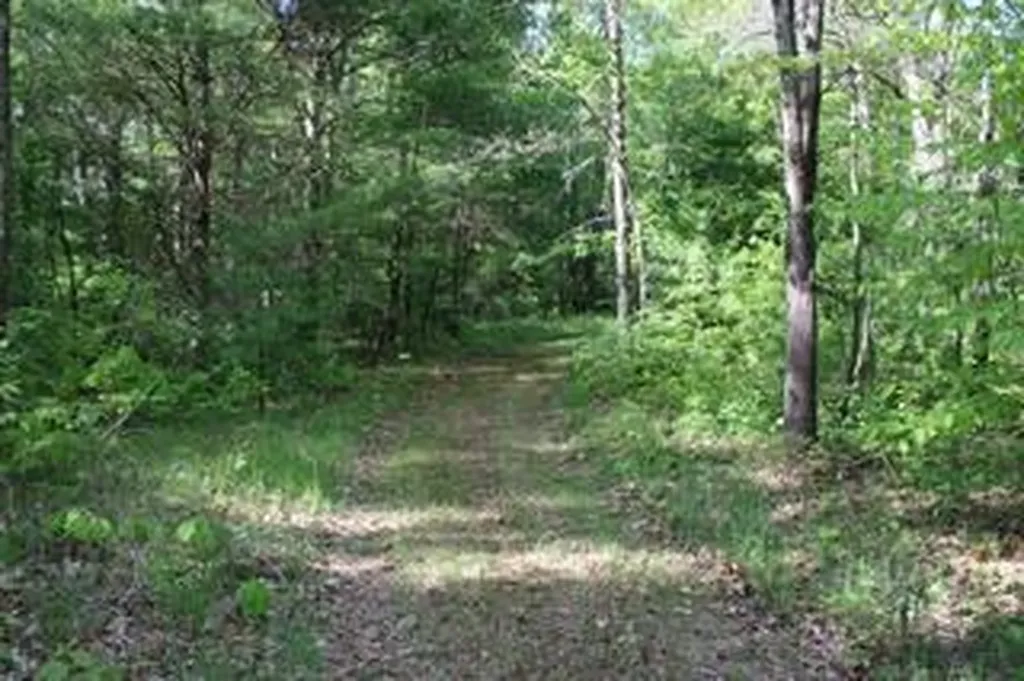 16314 9 Mile Road Austin Township MI 49346