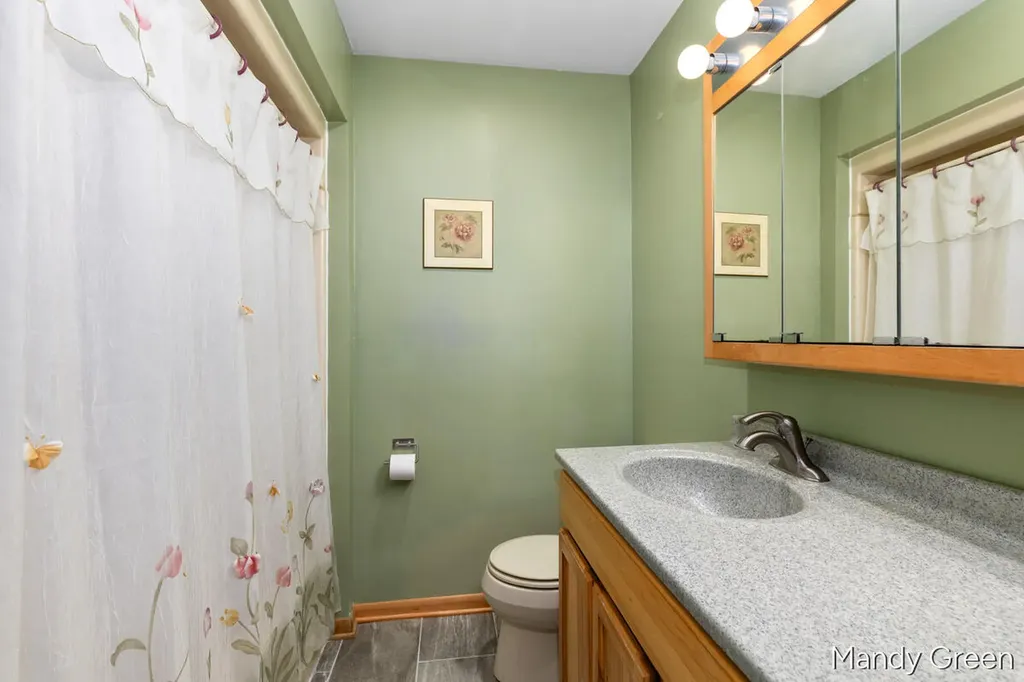 2858 Hall Street Orleans Township MI 48865