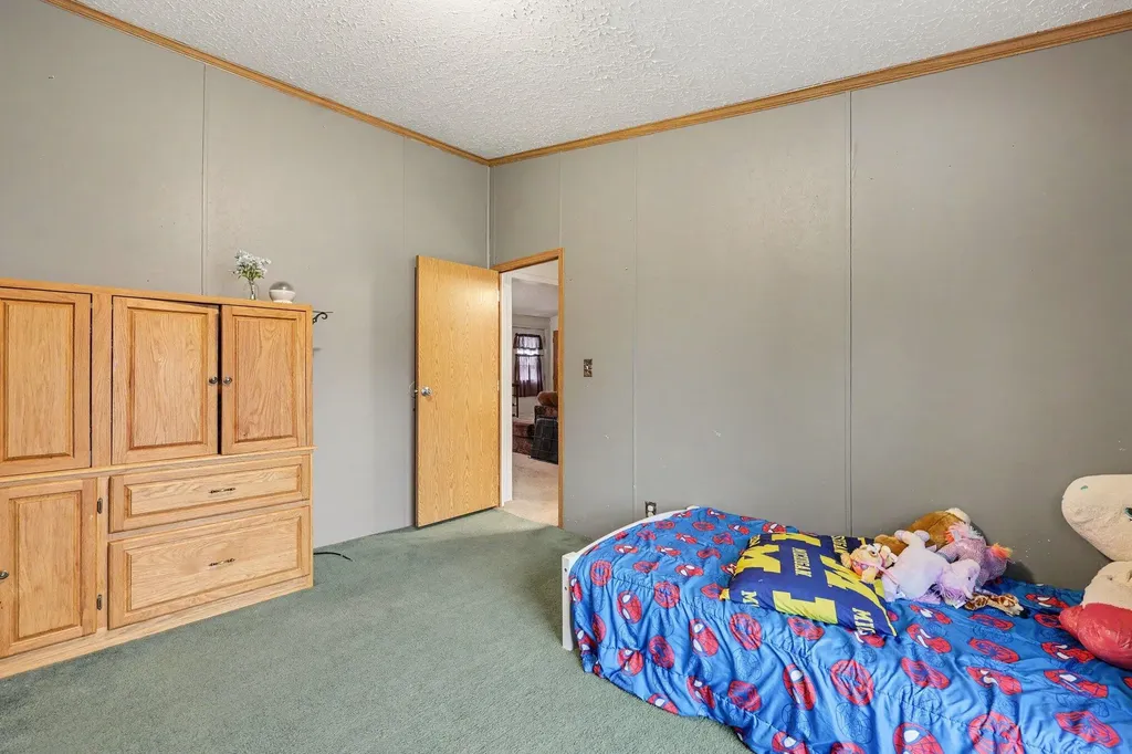 1893 Lanark Court Grass Lake Charter Township MI 49240