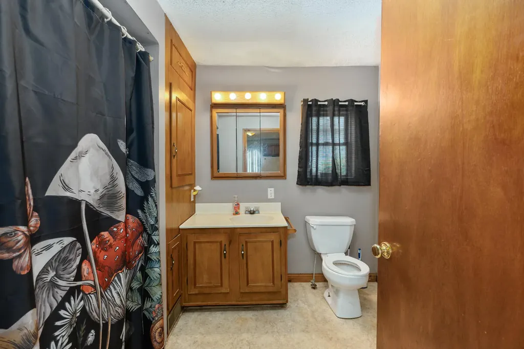 216 Mill Street Ionia City MI 48846