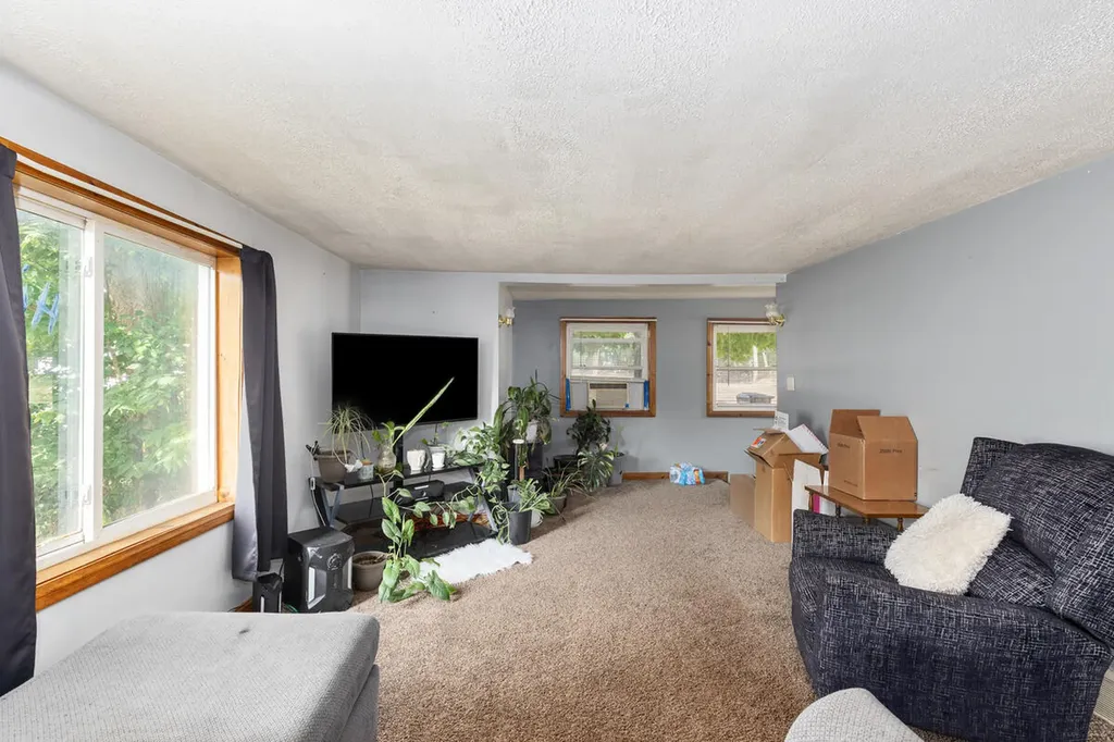 216 Mill Street Ionia City MI 48846