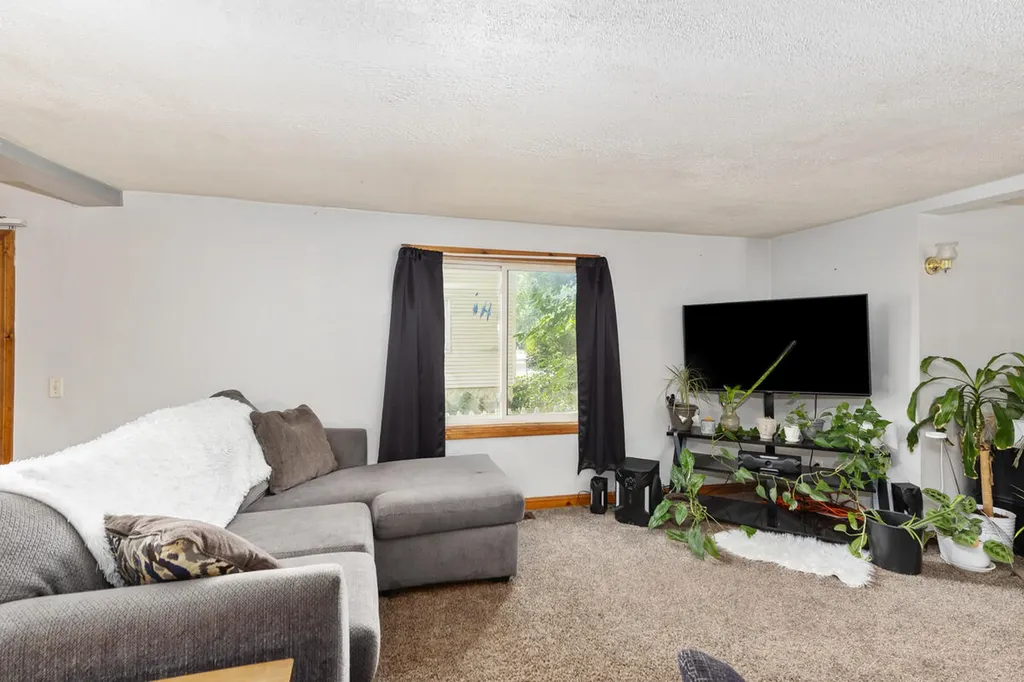 216 Mill Street Ionia City MI 48846