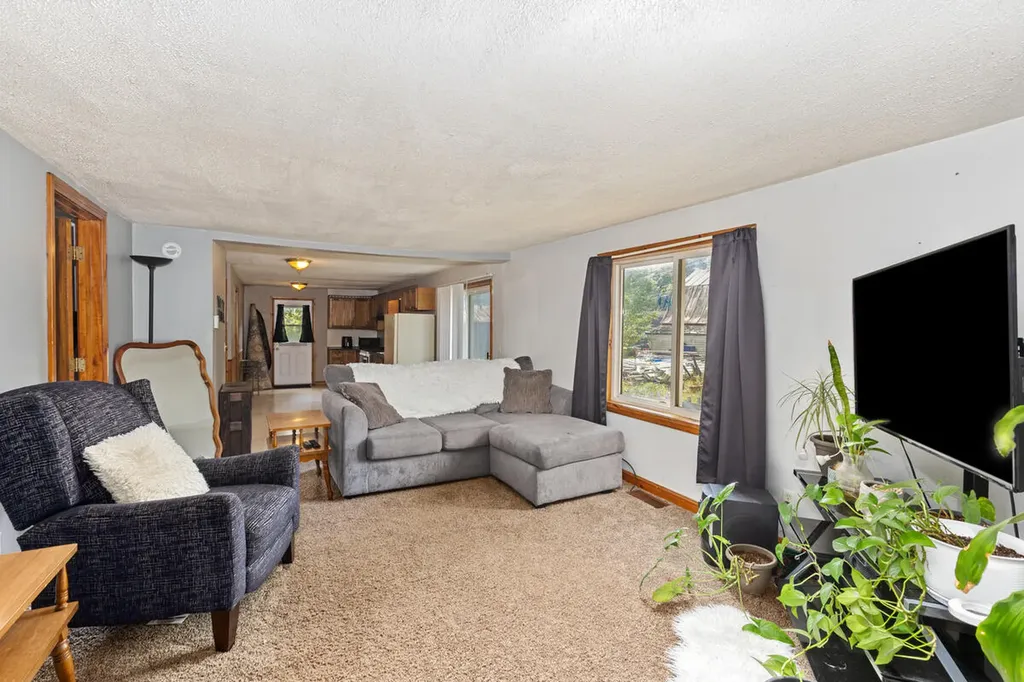 216 Mill Street Ionia City MI 48846