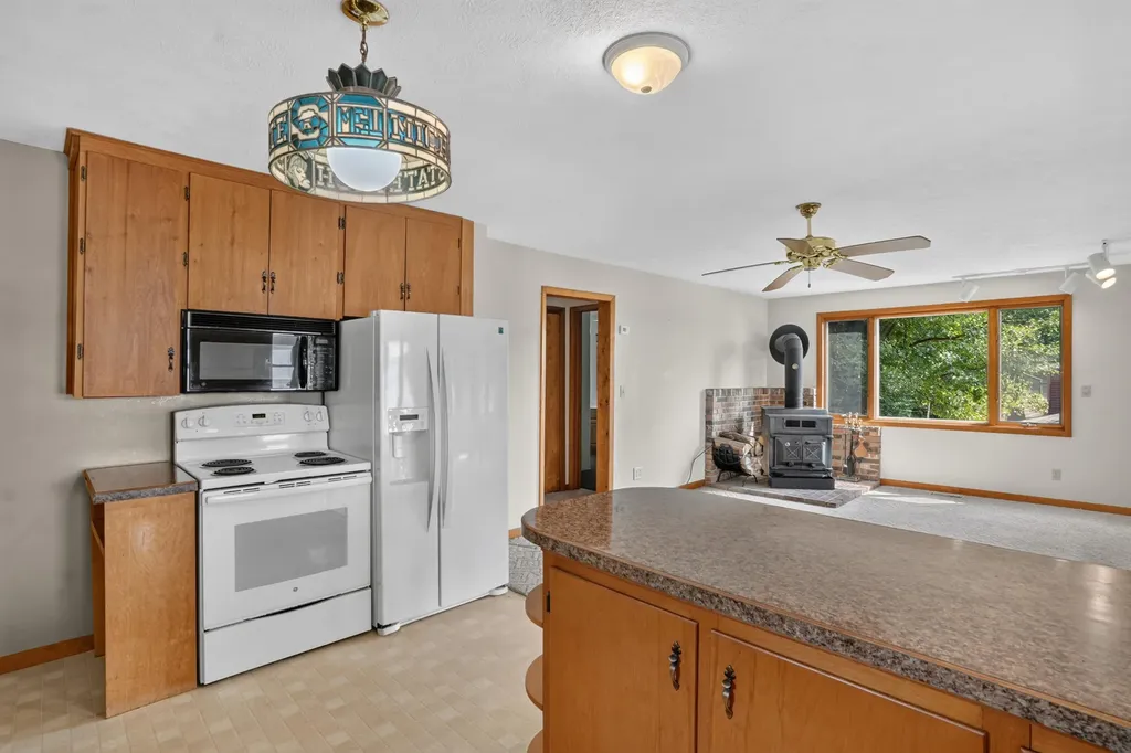 6695 Paradise Park Drive Boston Township MI 48881