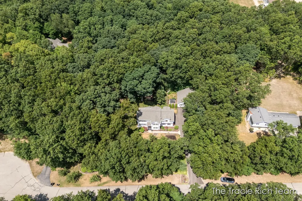 4669 Wood Valley Court NE Algoma Township MI 49341