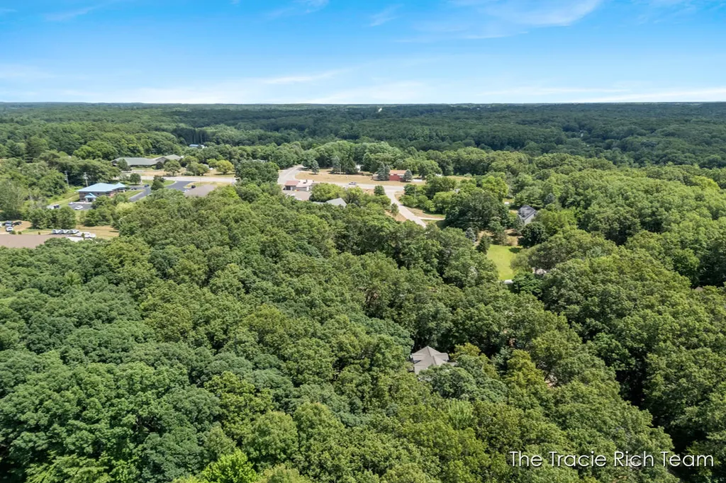 4669 Wood Valley Court NE Algoma Township MI 49341