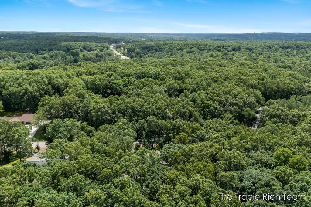4669 Wood Valley Court NE Algoma Township MI 49341