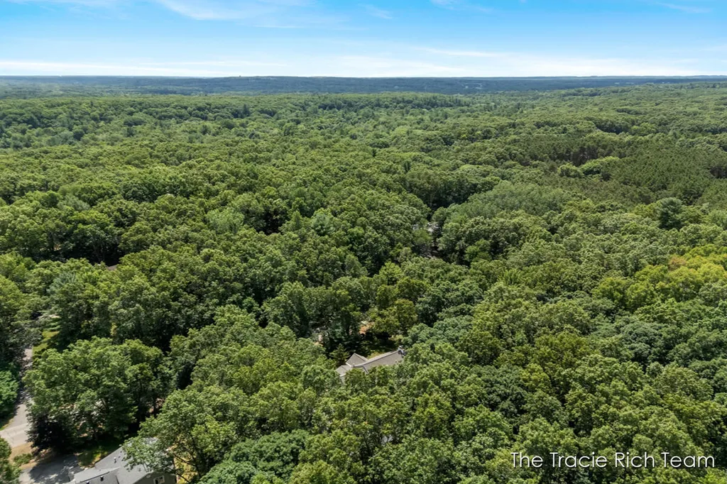 4669 Wood Valley Court NE Algoma Township MI 49341