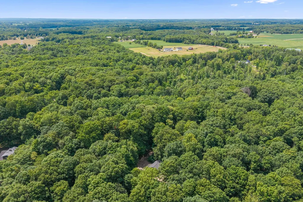 10265 River Shore Drive Caledonia Township MI 49316
