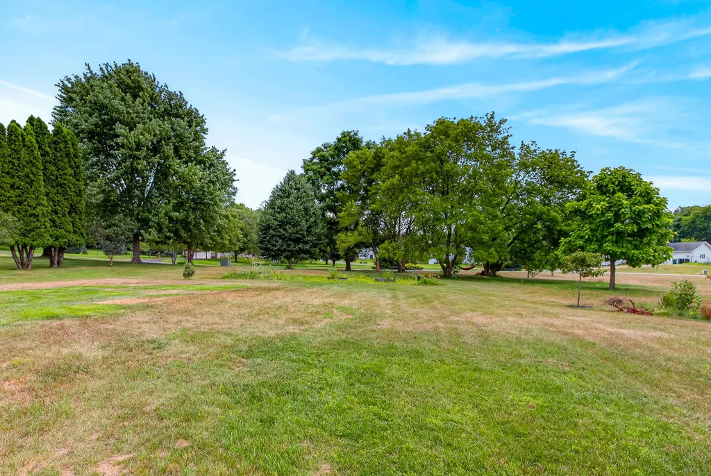 6935 Brow-myer Drive NE Courtland Township MI 49341