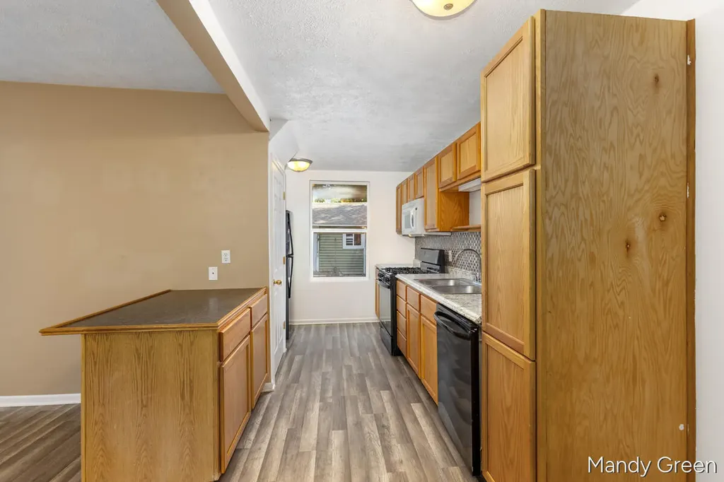 212 S Smith Street Greenville City MI 48838