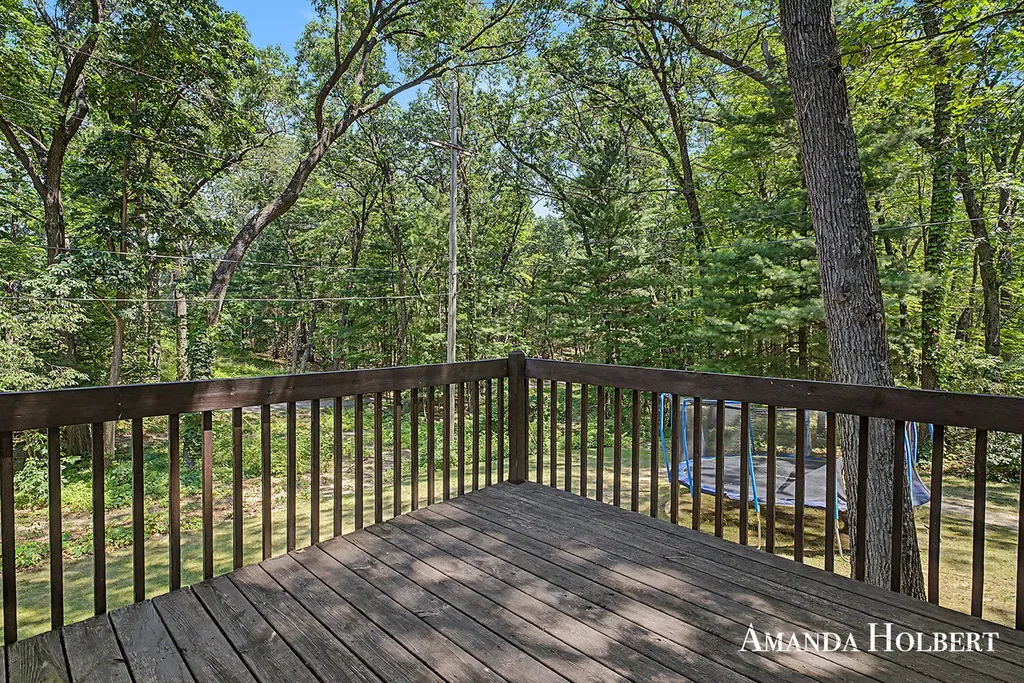 6576 Ramsdell Drive NE Cannon Township MI 49341