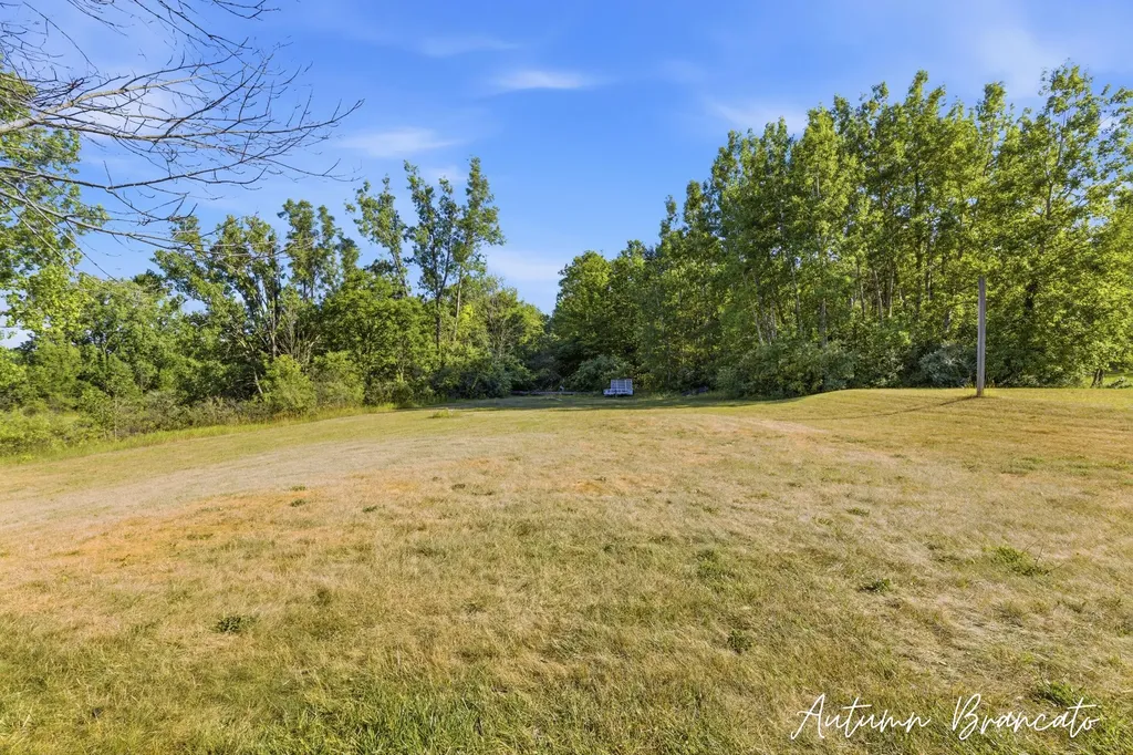 3350 Egner Street NE Solon Township MI 49319