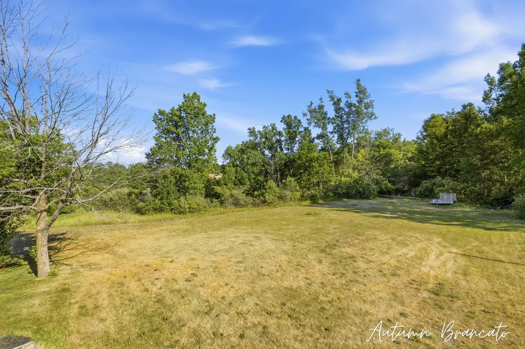 3350 Egner Street NE Solon Township MI 49319