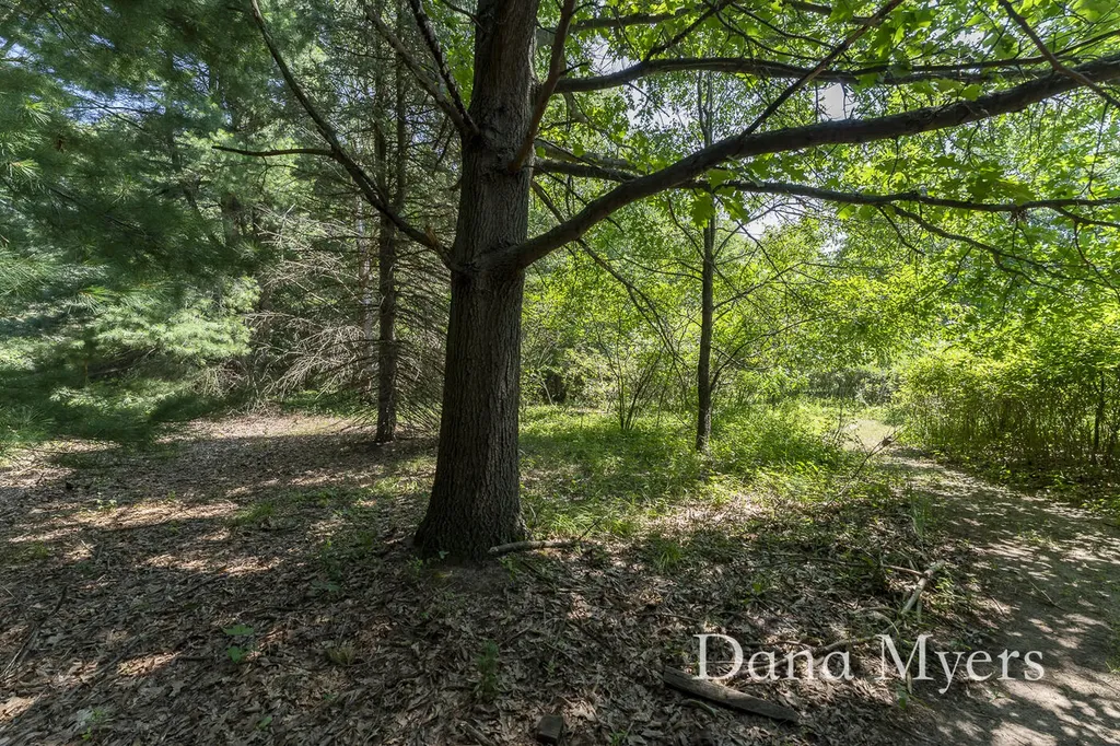 6826 Mccords Avenue SE Caledonia Township MI 49302