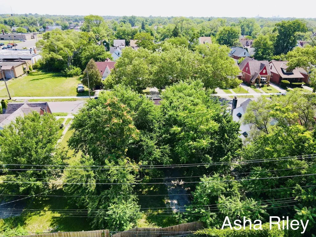 15099 Monte Vista Street Detroit City MI 48238