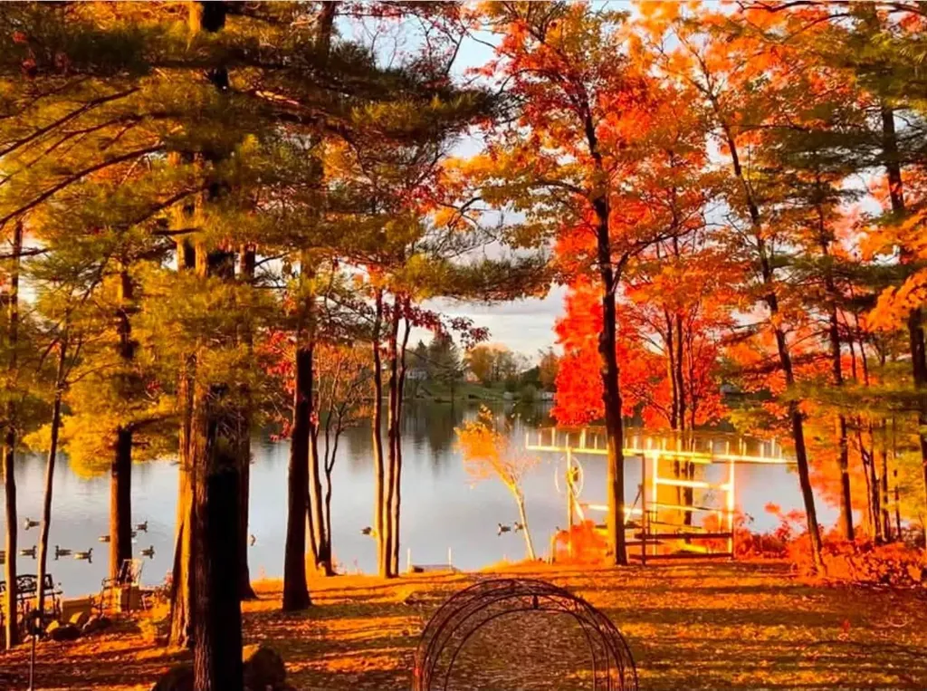 8837 Johnson Road Bear Lake Township MI 49645