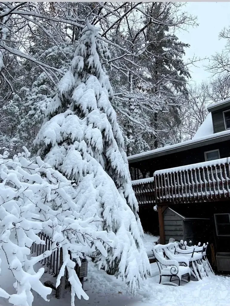 8837 Johnson Road Bear Lake Township MI 49645