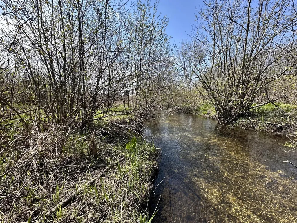 3025 Tillie Run NE Algoma Township MI 49319