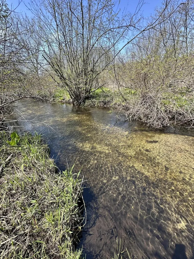 3025 Tillie Run NE Algoma Township MI 49319