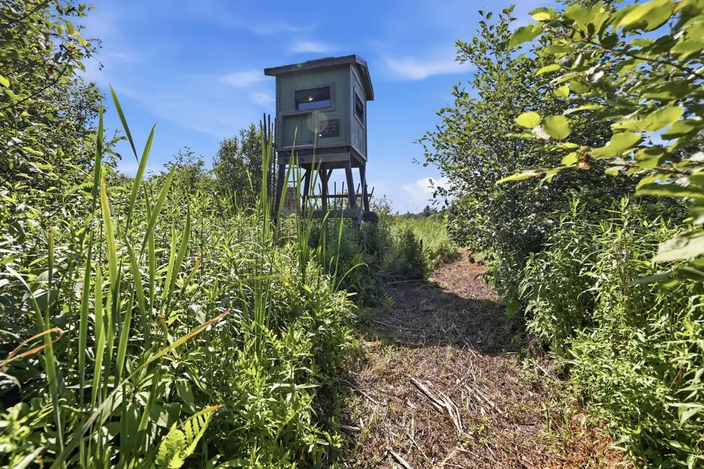 3025 Tillie Run NE Algoma Township MI 49319
