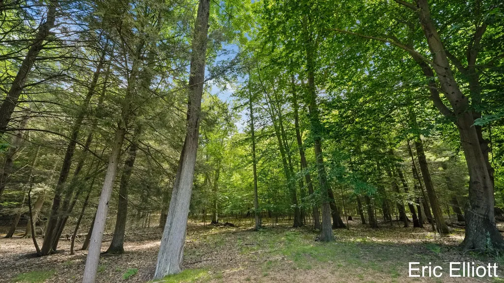 4434 N Pine Avenue Golden Township MI 49436
