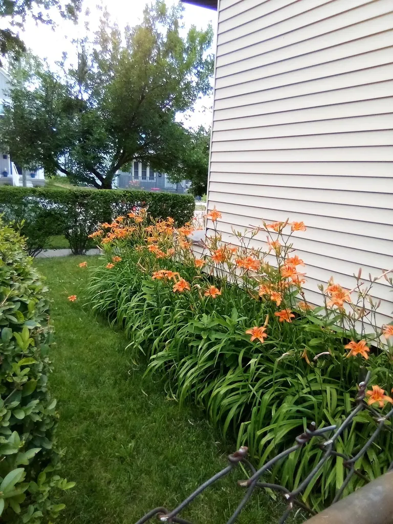 510 La Grave Avenue SE Grand Rapids City MI 49503