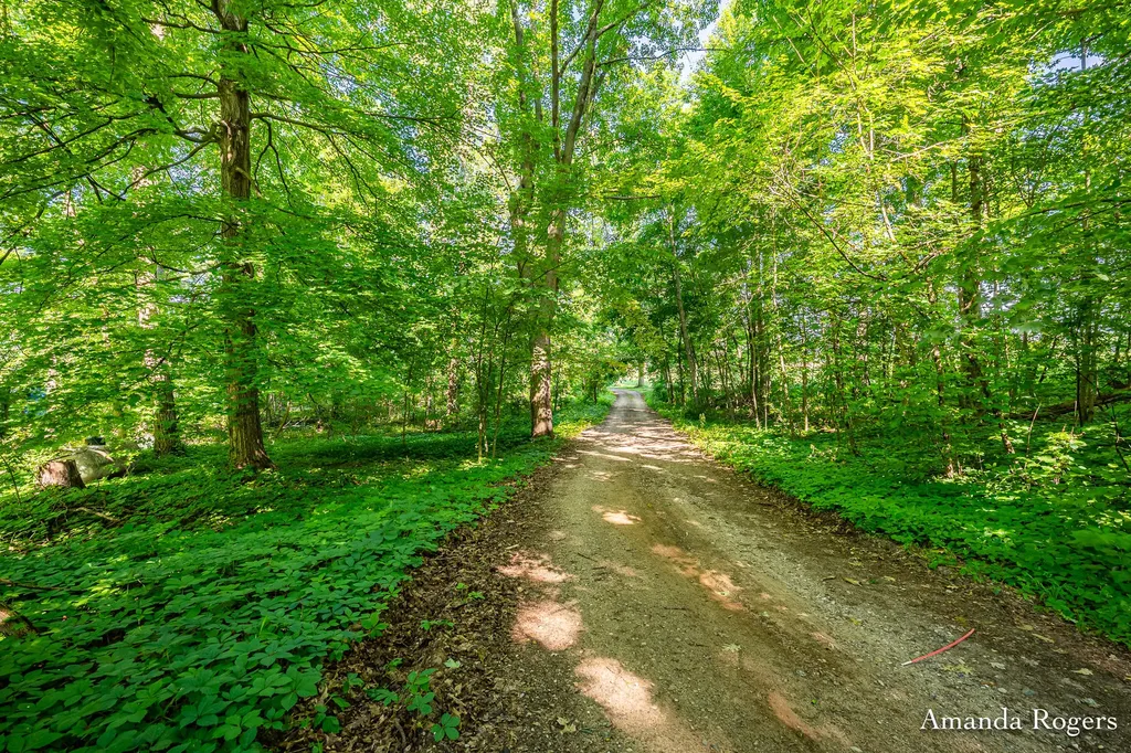 650 Parnell Avenue SE Vergennes Township MI 49331
